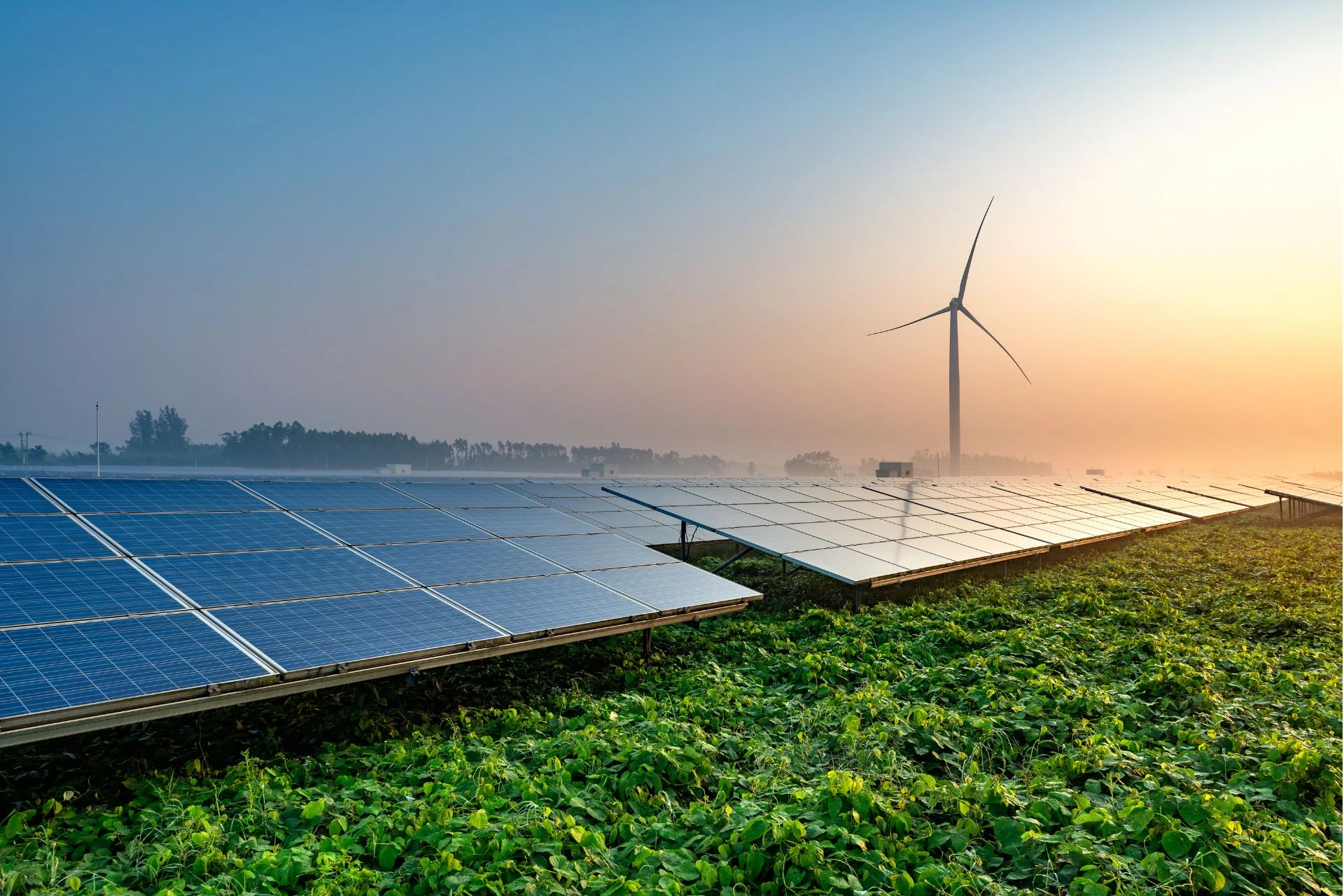 Green Tech Startups Making Waves in 2025